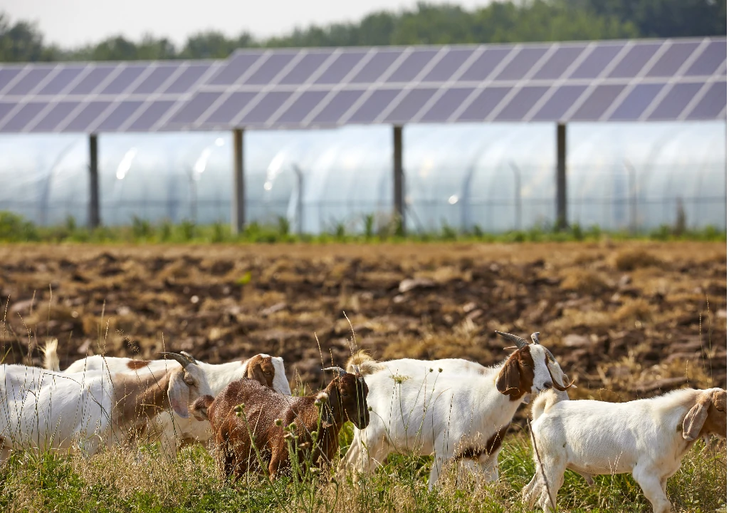 不同類型的光伏項目回本周期